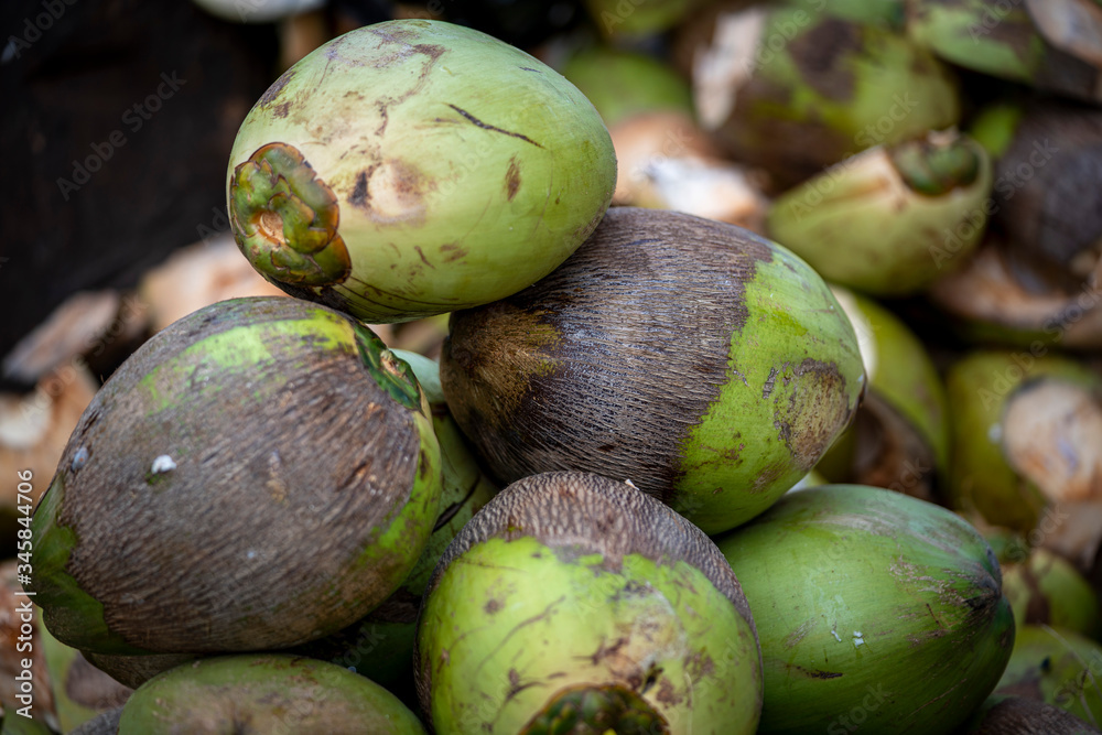 a closeup photo of coconuts stacked at a market
a closeup photo of coconuts stacked at a market