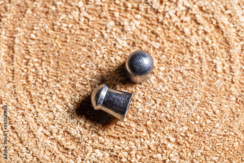 Lead bullets for an air rifle on a tree cut Lead bullets for an air rifle on a tree cut