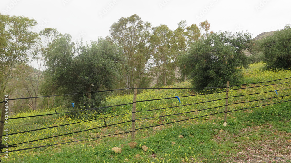 Fototapeta premium Meadow behind rubber tubing connected posts