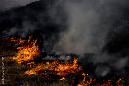 Fire. Dry grass burns in the spring. Forest fires. © Serhii