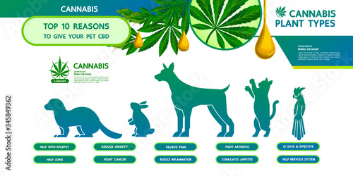 Cannabis benefits for pet health vector illustration.