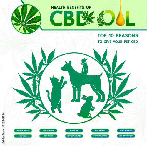Cannabis benefits for pet health vector illustration.