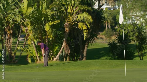 WS Young male golfer playing chipping shot on to green