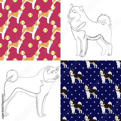 Akita inu and malamute breed dogs