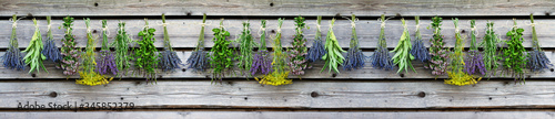 Healthy food, fresh herbs drying on sun background.