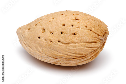 Single almond isolated on white