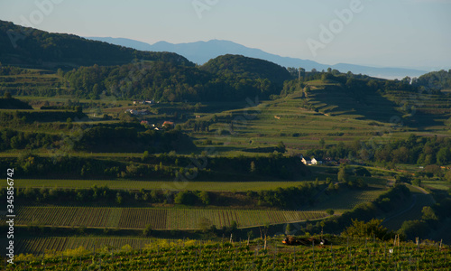 Kaiserstuhlblick an einem Frühlingsmorgen photo