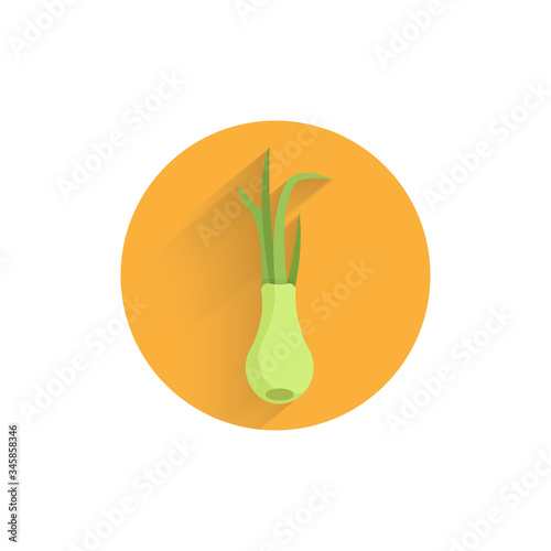 Green onion colorful flat icon with long shadow. Green onion flat icon