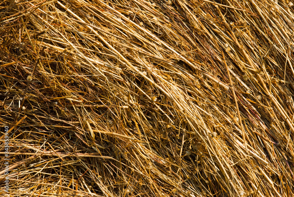 rolled up bale of straw detail rolled up bale of straw detail