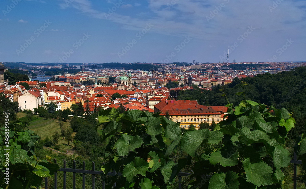 Fototapeta premium View of the Prague