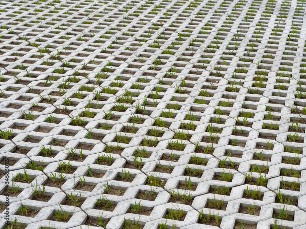 Fototapeta premium paving slabs lawn grill with green grass