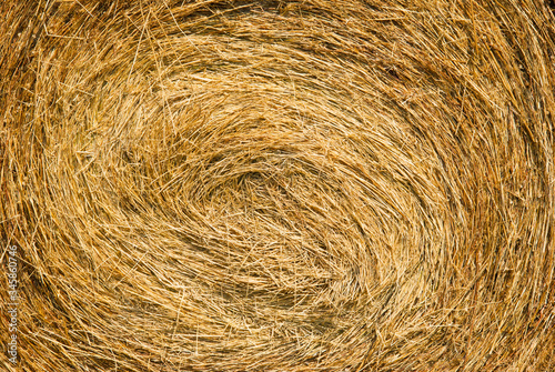 rolled up bale of straw detail