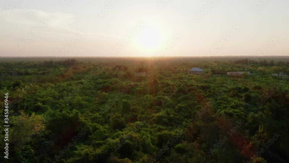 Aerial drone shot flying over the jungle during sunset in Zanzibar, Tanzania. Aerial drone shot flying over the jungle during sunset in Zanzibar, Tanzania.