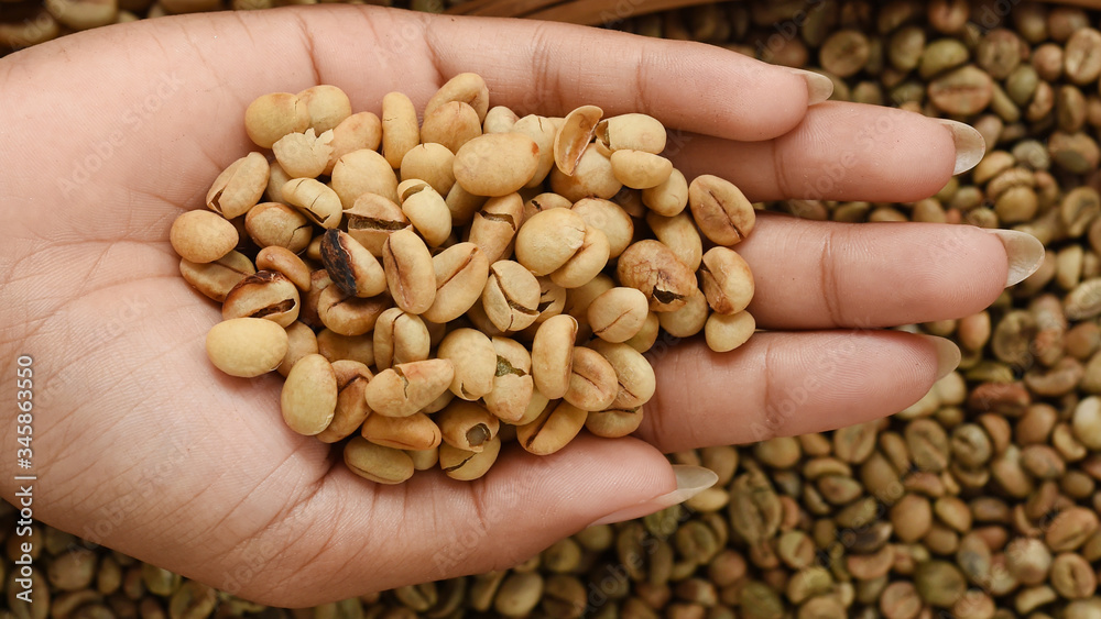 close up of green coffee beans on hand close up of green coffee beans on hand