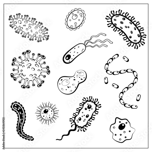 Set of Vector illustration with outlines of different bacteria, virus, cells, germs or epidemic bacillus.