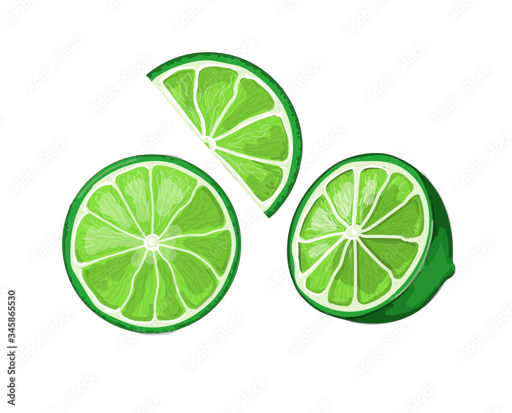 Stock vector illustration. A set of pieces of lime is drawn on a white background.