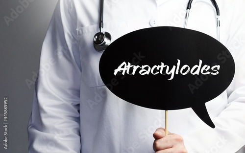 Atractylodes. Doctor in smock holds up speech bubble. The term Atractylodes is in the sign. Symbol of illness, health, medicine photo
