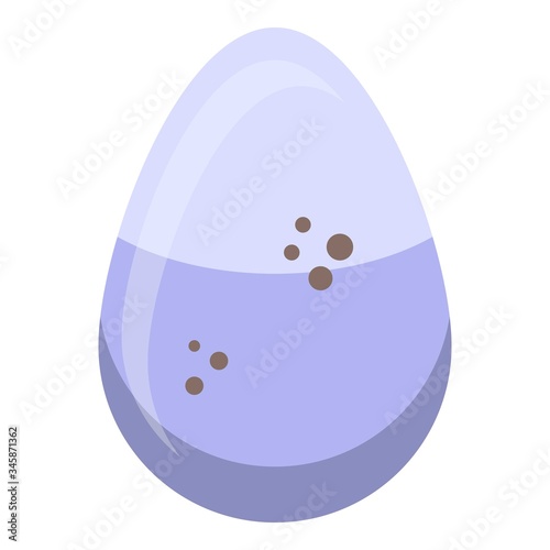 Owl egg icon. Isometric of owl egg vector icon for web design isolated on white background