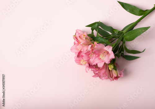 Pink flower bouquet on a light-pink surface. Top view  copy space. Mothers day  present for girls concept