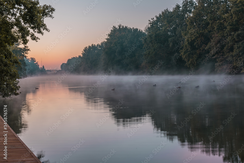 Beautiful riverside view with mist floating on water. In the background ducks and forest on river bank. Interesting mirror reflection on water surface. Sunrise, Oder river, Wroclaw, Poland.  