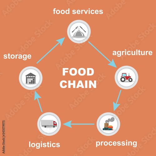 Different food chain stages interconnected