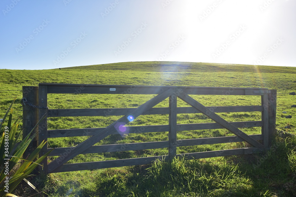 Fototapeta premium Heavy wooden livestock gate separating sections of farmland in back light.