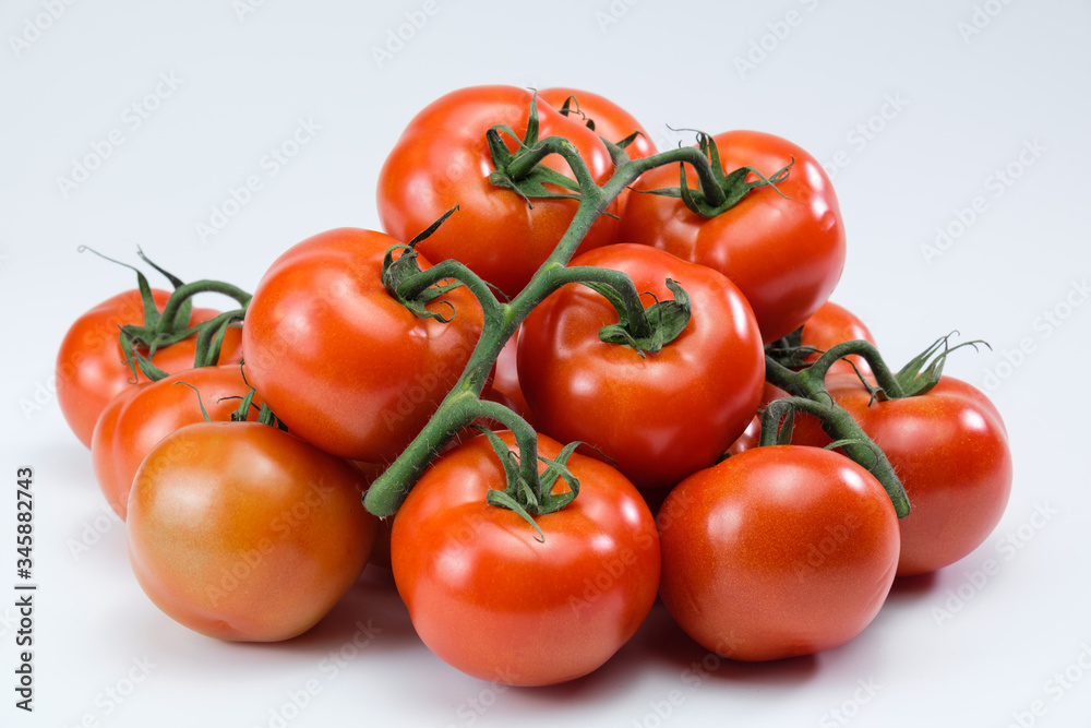 Eine Menge, ein Haufen frischer roter saftiger Rispentomaten / Tomate