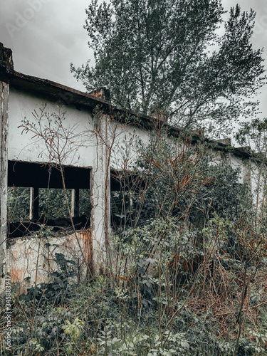 A ramshackle old building in the woods. Cloudy weather