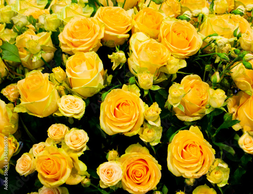 festive background of flowers of yellow roses
