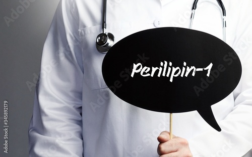 Perilipin-1. Doctor in smock holds up speech bubble. The term Perilipin-1 is in the sign. Symbol of illness, health, medicine photo