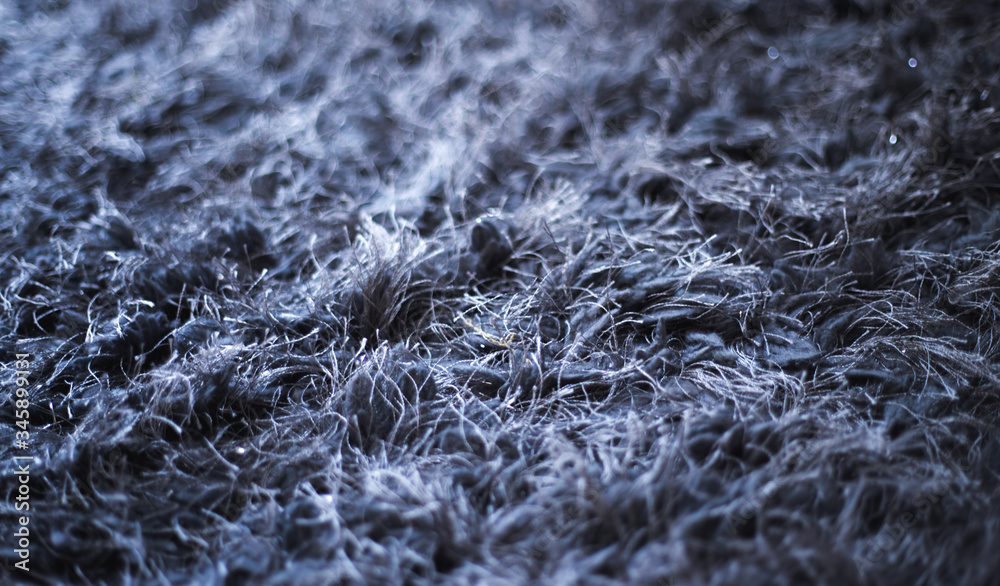Grey hairy carpet with long threads in luxury design interior of appartmnt. Grey hairy carpet with long threads in luxury design interior of appartmnt.