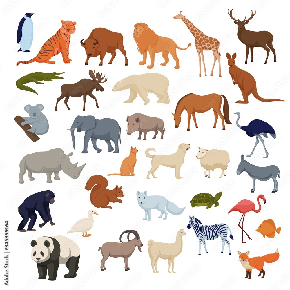 Wild home pets set. Wild animals bison elephant fox rhinoceros deer polar  bear arctic fox, color cartoon vector, panda giraffe lion, elk, chimpanzee  and domestic dog, cat, horse, duck, donkey. Stock Vector |