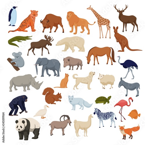 Wild home pets set. Wild animals bison elephant fox rhinoceros deer polar bear arctic fox  color cartoon vector  panda giraffe lion  elk  chimpanzee and domestic dog  cat  horse  duck  donkey.