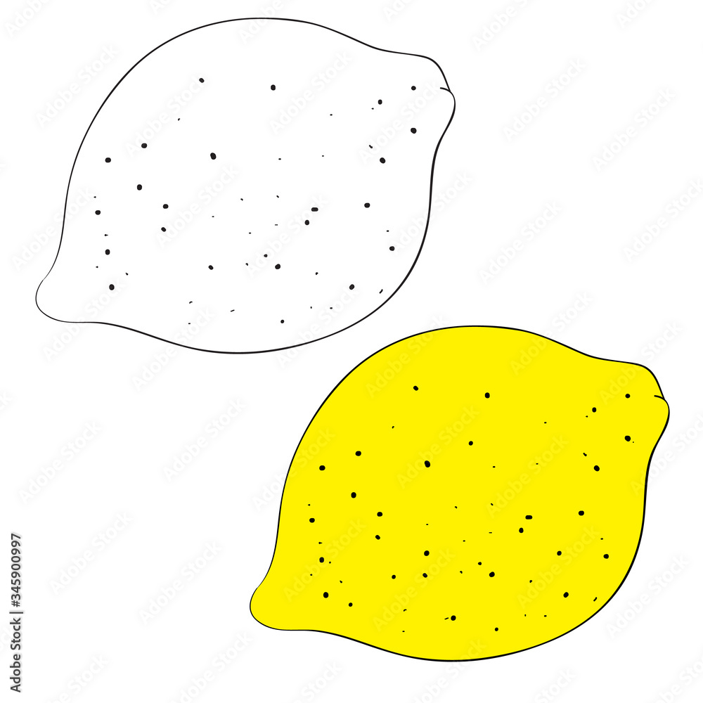 set of lemon drawn in black lines and painted, isolated object on a white background, vector illustration, set of lemon drawn in black lines and painted, isolated object on a white background, vector illustration,