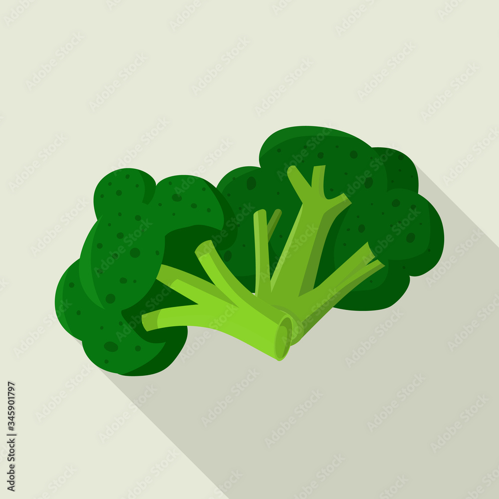Isolated object of broccoli and cabbage logo. Set of broccoli and doodle stock vector illustration. Isolated object of broccoli and cabbage logo. Set of broccoli and doodle stock vector illustration.