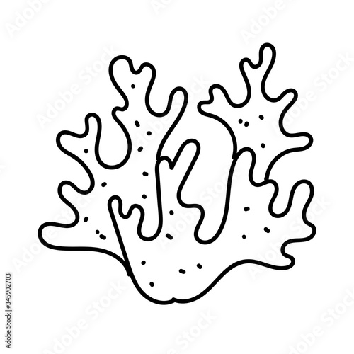vector element, black and white picture of a marine inhabitant, algae, coloring book