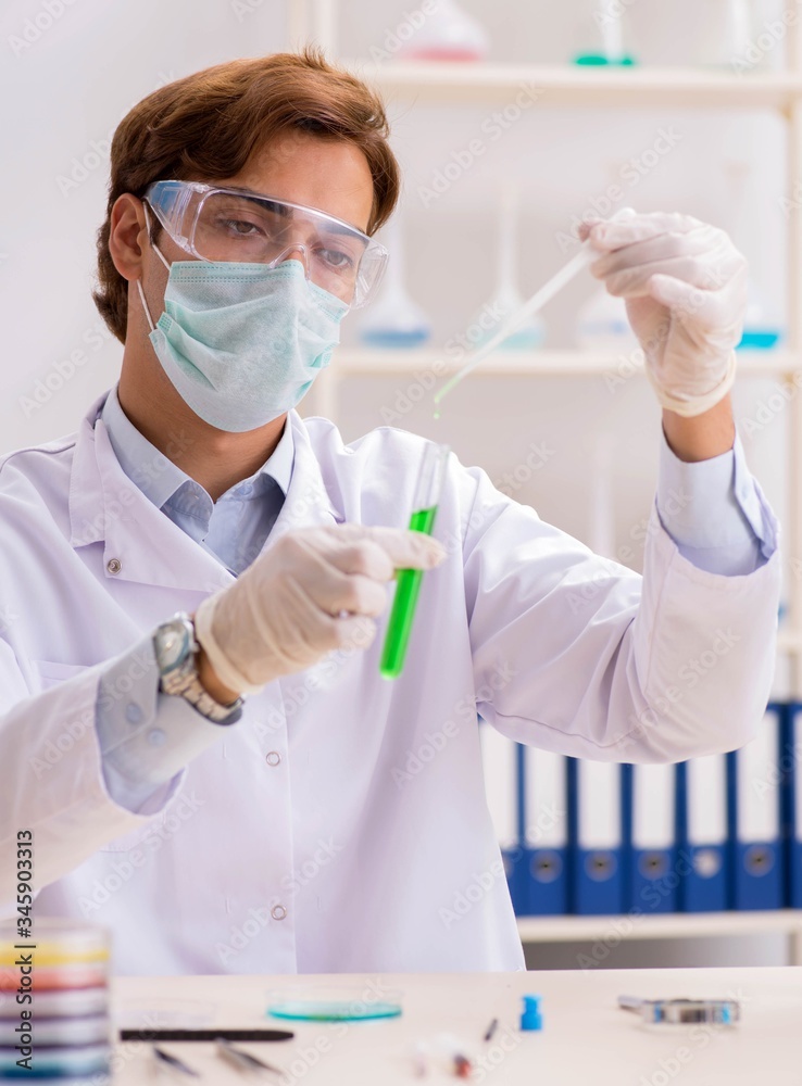 Young chemist working in the lab Young chemist working in the lab