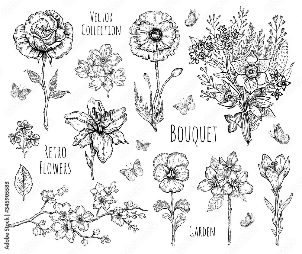 Flower set. Rose, poppy, lily, cherry blossom. Vector floral graphic, sketch plant illustration. Black and white vintage line art. Spring or summer hand drawn flowers. Botanical engraved collection