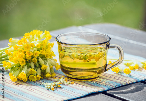 Tableau sur toile Cup of Primula veris tea (cowslip, common cowslip, cowslip primrose; syn