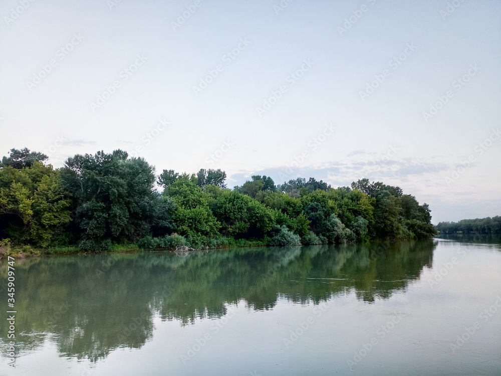 River landscape. River flow. Water surface and trees on shore.