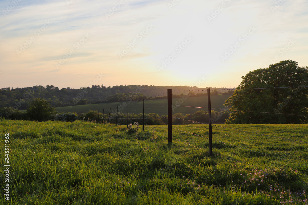 A fence across a grass field with a setting sun in the background 