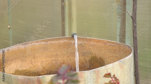 water from a rubber hose pours into a barrel