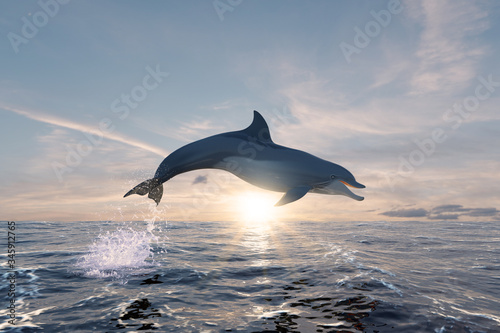 Fotografie Dolphin smiling and happy jumping free in the ocean at sunset