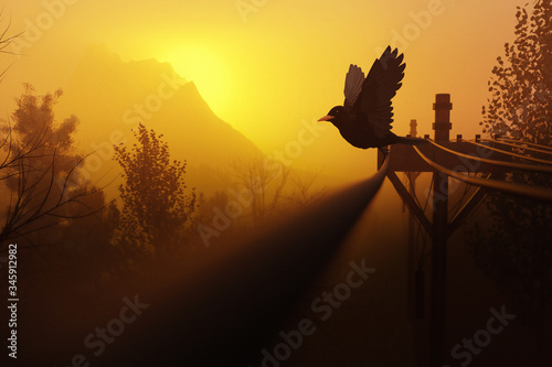 Morning has broken, Black Bird flying off electric pole at sunrise. 3D Illustration