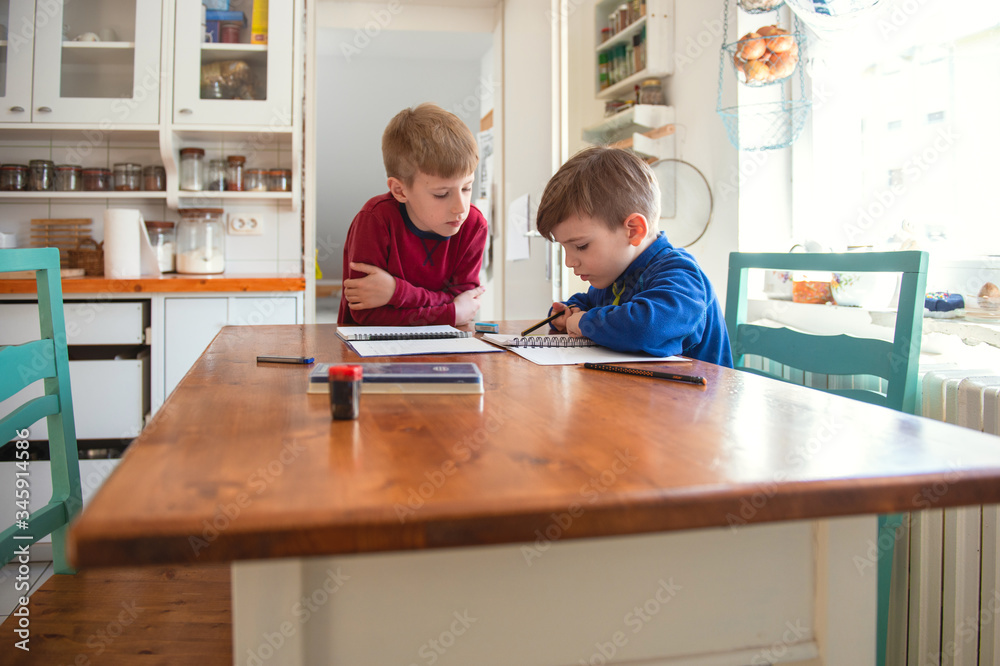 Brothers learning at home, Homeschooling
Brothers learning at home, Homeschooling