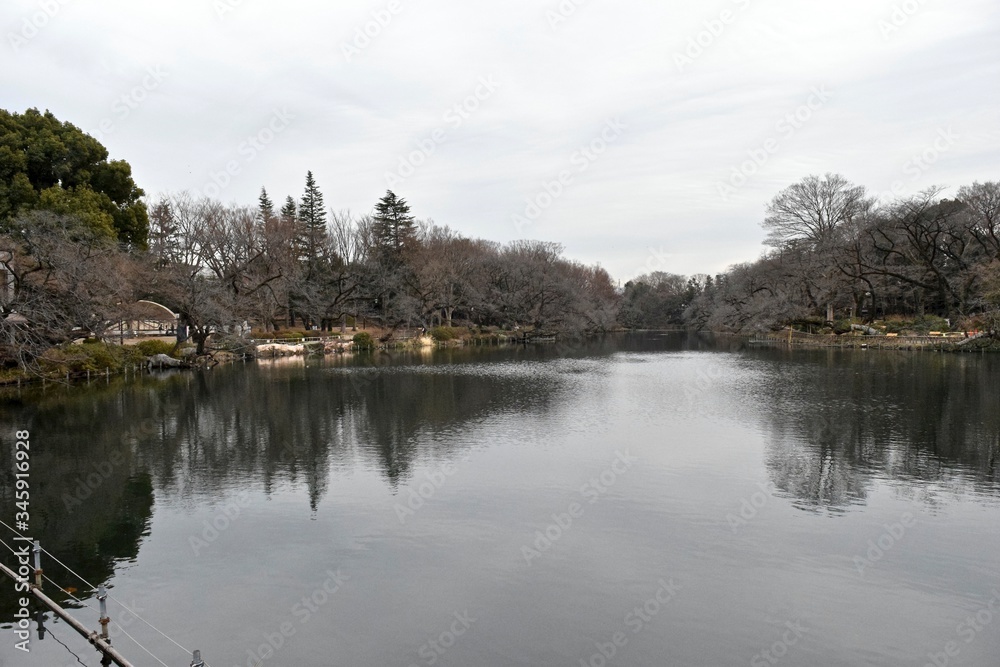 The view of Inokashira park