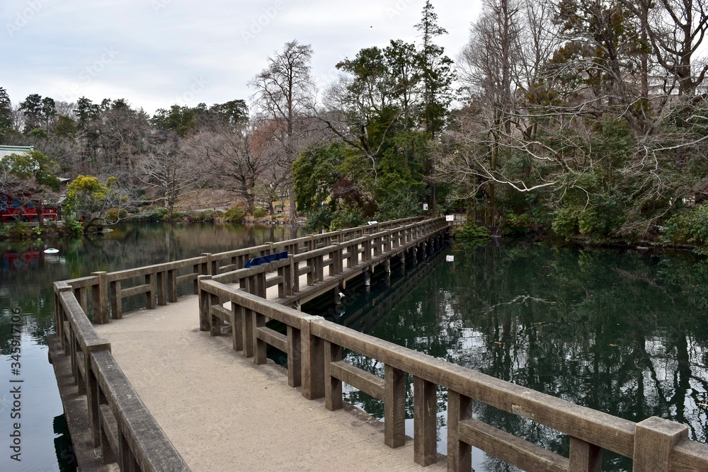 Wooden bridge over the lake in Inokashira park