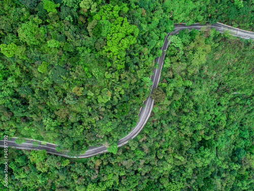Aerial drone view of trail in spring tropical forest © lzf