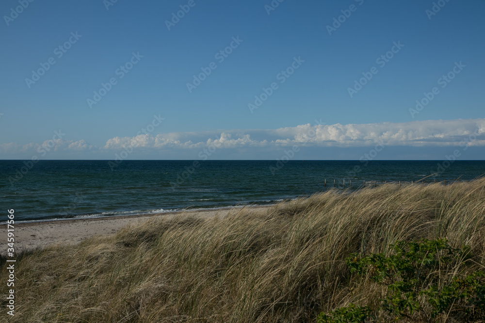 seaside with dunes and beach grass