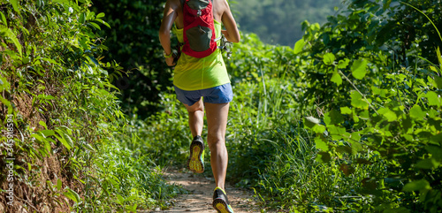 Fototapeta Naklejka Na Ścianę i Meble -  Young woman trail runner running in sunrise tropical forest